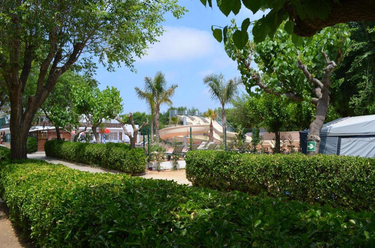 Camping Senia Caballo De Mar Pineda de Mar Exterior photo